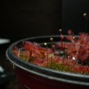 종명농장 이미지