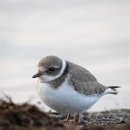 시그마테크 | 특별한 기념일 시그마가스렌지