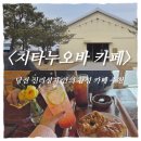 치타베이커리카페 | 당진 카페 추천｜신리성지 카페 치타누오바 대형 베이커리 감성카페 솔직후기