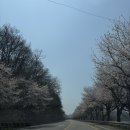 힐링낚시터 | 🎣 초평집좌대 낚시터 솔직한 이용후기