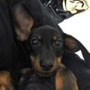 세븐일레븐인천가좌한신점 | 인천 가좌 한신 휴플러스 (공무원 임대주택) 24평 실제 한 달 거주 후기 / 수리·보수 후기