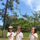(주)자연둥이