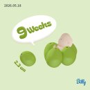 시험관시술 6. 임신 8주~11주차 + 11주차 출혈이슈 (feat.폴립) + 임신관련 구매템 / 임신중 류마티스