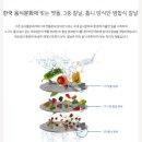 음식물분쇄처리기에코씽