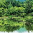 국립수목원 이미지