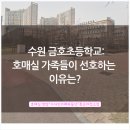 수자인 카페 부동산 공인중개사사무소 이미지