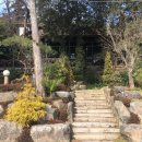 산장농원 이미지