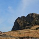 성산경로당 | 도민 제주 동쪽(성산) 당일치기 여행 : 윌라라, 프릳츠 제주성산점, 성산 유채꽃밭, 성산일출봉, 우뭇개...