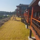 큰소낭 작은돌집 이미지