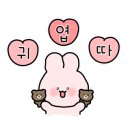 김포 애견호텔 애견유치원 꼬똥이네 이미지