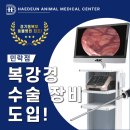 24시 해든동물의료센터 의정부점 | 해든동물의료센터 민락점, 경기동북부 최초 복강경 수술 장비 도입!