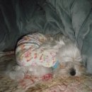 장창주농장 이미지