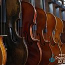 중대초등학교 이미지