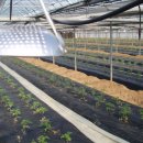 김규철농장 이미지