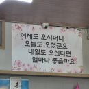 고거식당 | [인천 강화] 송해식당 / 강화도 백반 내돈내산 솔직후기
