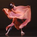 이사도라 이미지