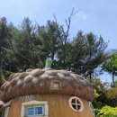 [충남 여행] 천안 아름다운정원 화수목 내돈내산 후기
