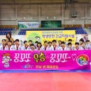 번개태권도 이미지