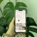 피드무용학원 이미지