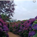 제주블랑 이미지