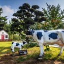 백암한우농장 이미지