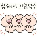 늘푸른한우사랑 이미지