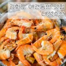 대성수산 | 강화도 애견동반 대하 맛집 대성수산 내돈내산 솔직 후기!