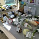 표선초등학교 병설유치원 이미지