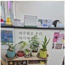 수정뷰티 네이버블로그