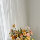 월영동290 이미지