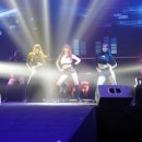 티나투어 Daum카페