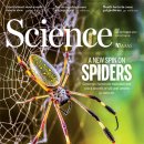 [바이오토픽] 이번 주 Science 커버 스토리: 거미의 생물학 완전정복 이미지