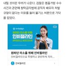 [단독] 커지는 김건희 공천개입 의 혹...선관위 "처벌 규정 없다" 발뺌 이미지