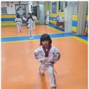 블랙벨트태권도 이미지