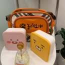 놀러오개 애견유치원 애견호텔 청라신도시점 | 청라 애견유치원 강아지 친구들이 많은 놀러오개