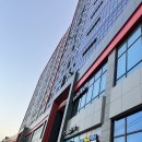 [안산] 이색 동물 체험카페 &#34;쥬니멀&#34; 방문 후기｜안산실내동물원｜주차 정보