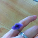 퇴촌찜매운탕 이미지