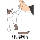 활기찬동물병원 이미지
