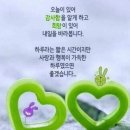 11월 18일 토요일 수원 광교산 트레킹 &amp;먹방 이미지