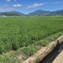 삼산면-4 이미지