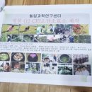 편백효소찜질 본점 이미지