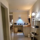 세화 엘라 이미지