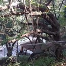 복천약수터 이미지