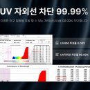 바우스 | 가벼운 데일리 블랙 자외선차단 선글라스 BAUUS 바우스 착용 후기
