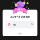 포도알 DICE RUSH 이미지