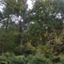 반송동251 이미지