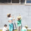 6/30일🍅토마토 수확 &amp;벽에 물그림 그리기~^^😁 이미지