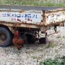 야무진 이미지