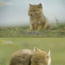 별미손칼국수 이미지