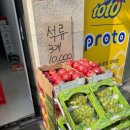 호남청과 | 광주 광산구 과일총각 호남청과 700에서 즐기는 신선한 제철 과일 체험 후기